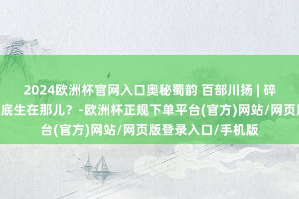 2024欧洲杯官网入口奥秘蜀韵 百部川扬 | 碎叶也曾江油 李白到底生在那儿？-欧洲杯正规下单平台(官方)网站/网页版登录入口/手机版